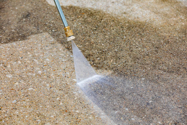 Best Soft Washing  in Burney, CA